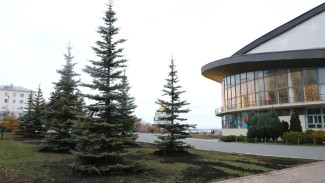 В Самаре высадили тысячи новых деревьев перед зимой