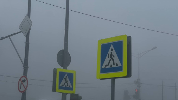 Самарскую область накроет густой туман 24 августа