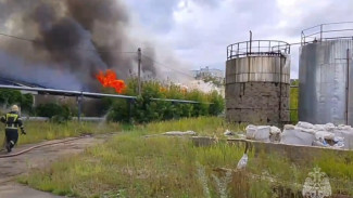 Опубликованы кадры крупного пожара в магазине стройматериалов в Самарской области 