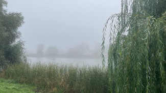 Самарскую область накроет густой туман 28 сентября 