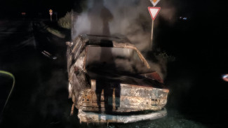 Под Самарой на трассе дотла сгорел BMW