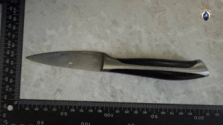 Житель Самары получил 9,5 лет колонии строгого режима за убийство знакомого