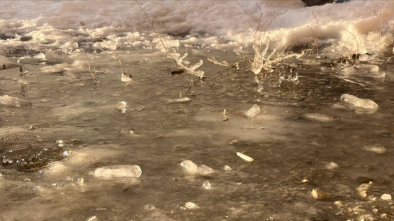 Желтый уровень опасности объявили в Самарской области из-за метели 20 февраля