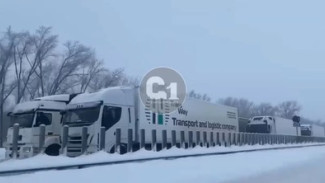 В Самарской области на трассе М5 образовалась огромная пробка 21 января 