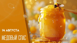 Медовый Спас 14 августа: тайный смысл праздника и освящение мёда