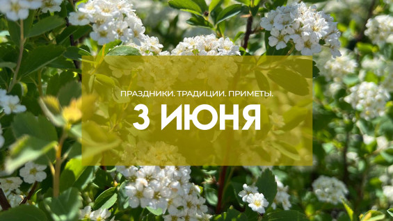 Народные приметы: 3 июня. Чётко помните об этом в Еленин (Оленин) день, если не хотите лишиться достатка 