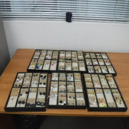 100 пар сережек и 21 очки: жительница Самары пыталась провезти из Китая контрабанду