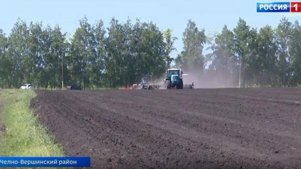 Экономическая жизнь Челно-Вершинского района привлекла внимание областного кабинета министров 