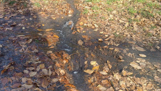 В Самарской области на 7 объектах стартует  программа по ликвидации объектов накопленного вреда