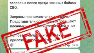 Семьям участков СВО мошенники рассылают вирусы