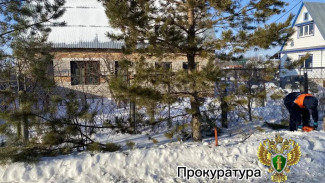 Самарский пенсионер расчленил друга и получил 10 лет строгого режима