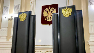 В Самаре обвинение в отношении Светланы Лады-Русь (Пеуновой)* направлено в суд