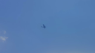 БПЛА атаковали промышленное предприятие в Самарской области