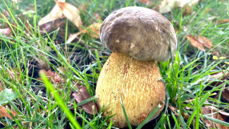 Народный календарь 27 июля: не делайте этого на Стефана Чудотворца, чтобы не лишиться удачи и денег