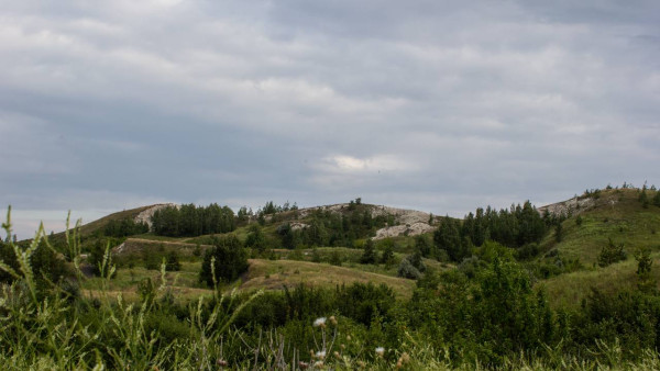 Инвестор хочет расширить проект на Федоровских лугах в Самарской области