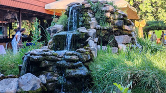 Гороскоп на 26 июля 2024: эти 5 знаком смогут достичь своих целей