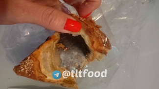 Тольяттинец обнаружил смертельно опасную начинку в самсе