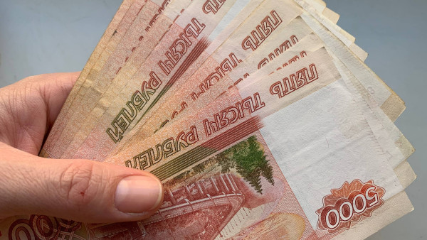 Госкомпании закупили товаров у самарских самозанятых на 2 млрд рублей