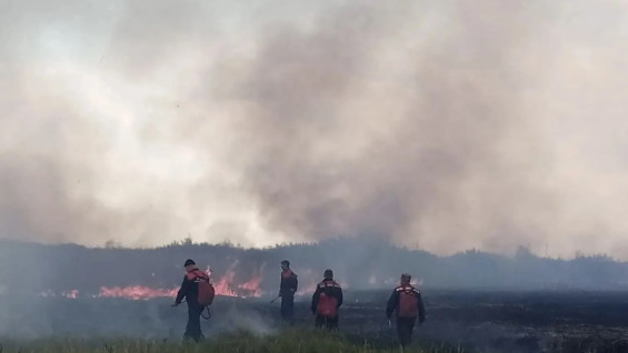 В Самарской области потушили ландшафтный пожар в Красноярском лесничестве 