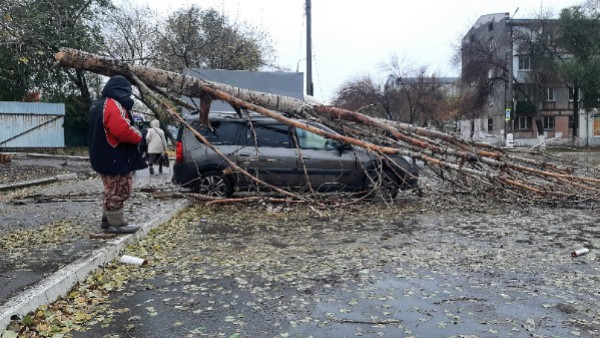 Пошел на рынок — нажил проблем. Под Самарой автомобиль разбомбило тополем