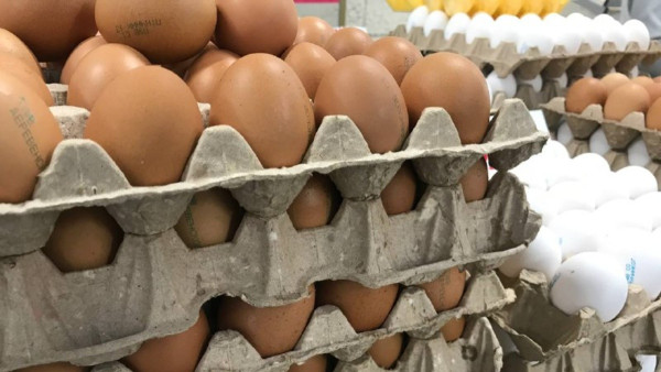 Самарцев предупредили о том, что поставщики яиц могут повысить цены