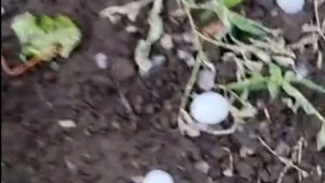 В Самарской области выпал град размером с яйцо