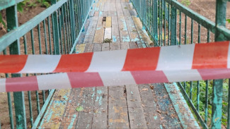 В Самаре ввели карантин из-за вспышки бешенства