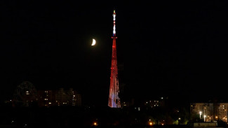 В Самаре на телебашне включат динамическую подсветку с осенними листьями в День учителя