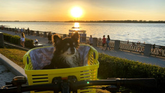 В первые выходные сентября в Самару вернется лето