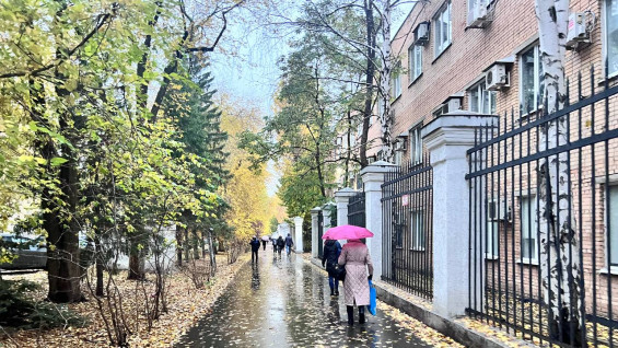 Самарцам рассказали, когда закончится сезон дождей 