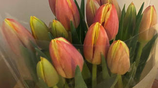 В Самаре в 2024 году высадят 1,3 миллиона цветов и 120 тысяч тюльпанов