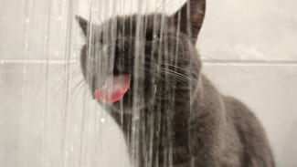 13 улиц Самары временно останутся без воды 28 декабря