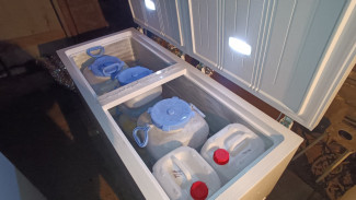 ФСБ изъяла под Самарой более 51 кг синтетического наркотика