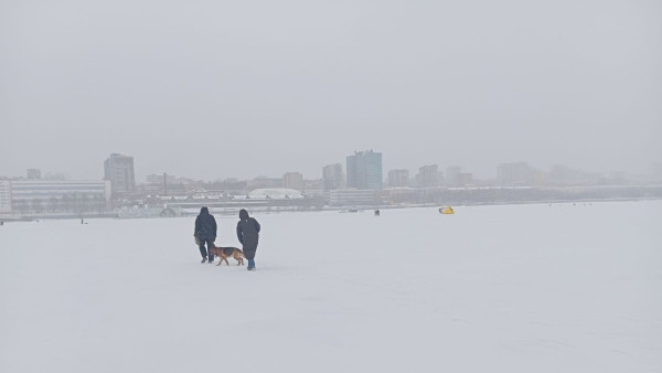 Самарцам рассказали, как защитить сердце в февральские холода 