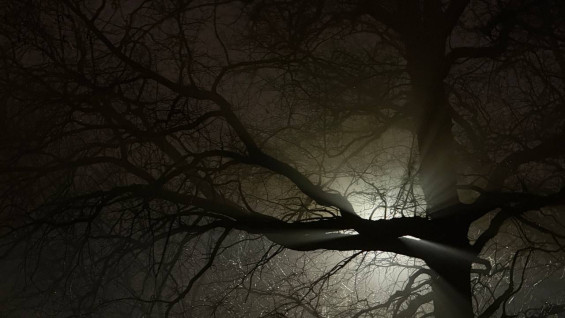 17 декабря в Самарской области грянет новая магнитная буря