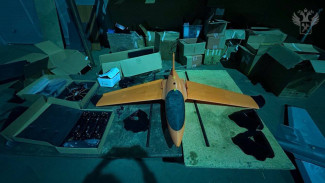 Самарская таможня пресекла ввоз 34 БПЛА через границу с Казахстаном