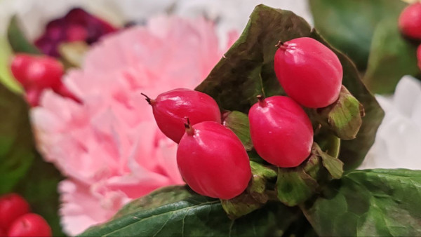 Високосные приметы: 4 февраля. Не прикасайтесь к этому в Тимофеев день, чтобы не подорвать здоровье