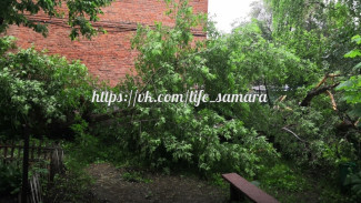 Последствия стихии в Самаре: на газовую трубу упало дерево 