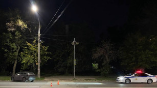 В Самаре водитель иномарки насмерть сбил женщину на пешеходном переходе
