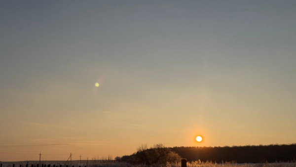 В Самарской области вернут в муниципальную собственность 350 га земли, проданные с нарушениями 