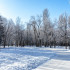 Ожидается -18°C: самарцев предупредили о сильном морозе на следующей неделе