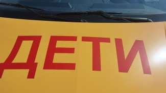 В Самарской области штрафы за перевозку детей увеличатся вдвое