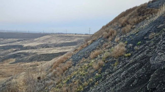 В Минприроды Самарской области рассказали о ликвидации опасных для экологии источников загрязнения