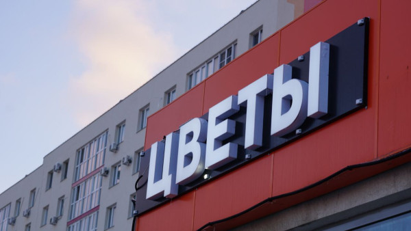 Самарцам рассказали, как выбрать живые цветы к 8 Марта и не ошибиться