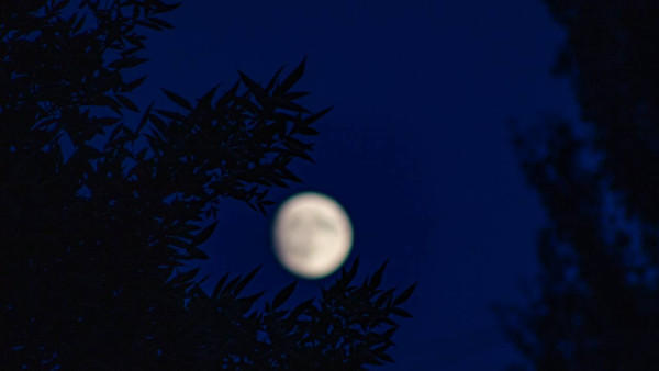 Гороскоп на 5 октября: эти 3 знака ждут важные перемены 