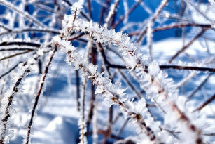 В самарском Минобре рассказали об отмене занятий в школах