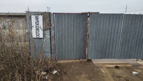 В Самарской области хотят ликвидировать около 30 скотомогильников за 11,4 млн рублей