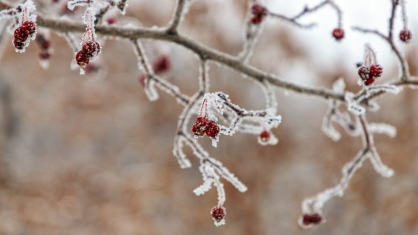 Зима-2026 в Самаре будет холоднее и опаснее предыдущей 