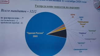 Выборы в Самарской области не обошлись без коллизий