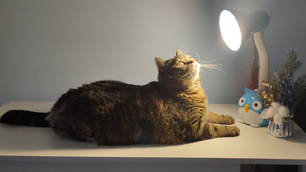 В Самарской области 9 февраля временно отключат свет